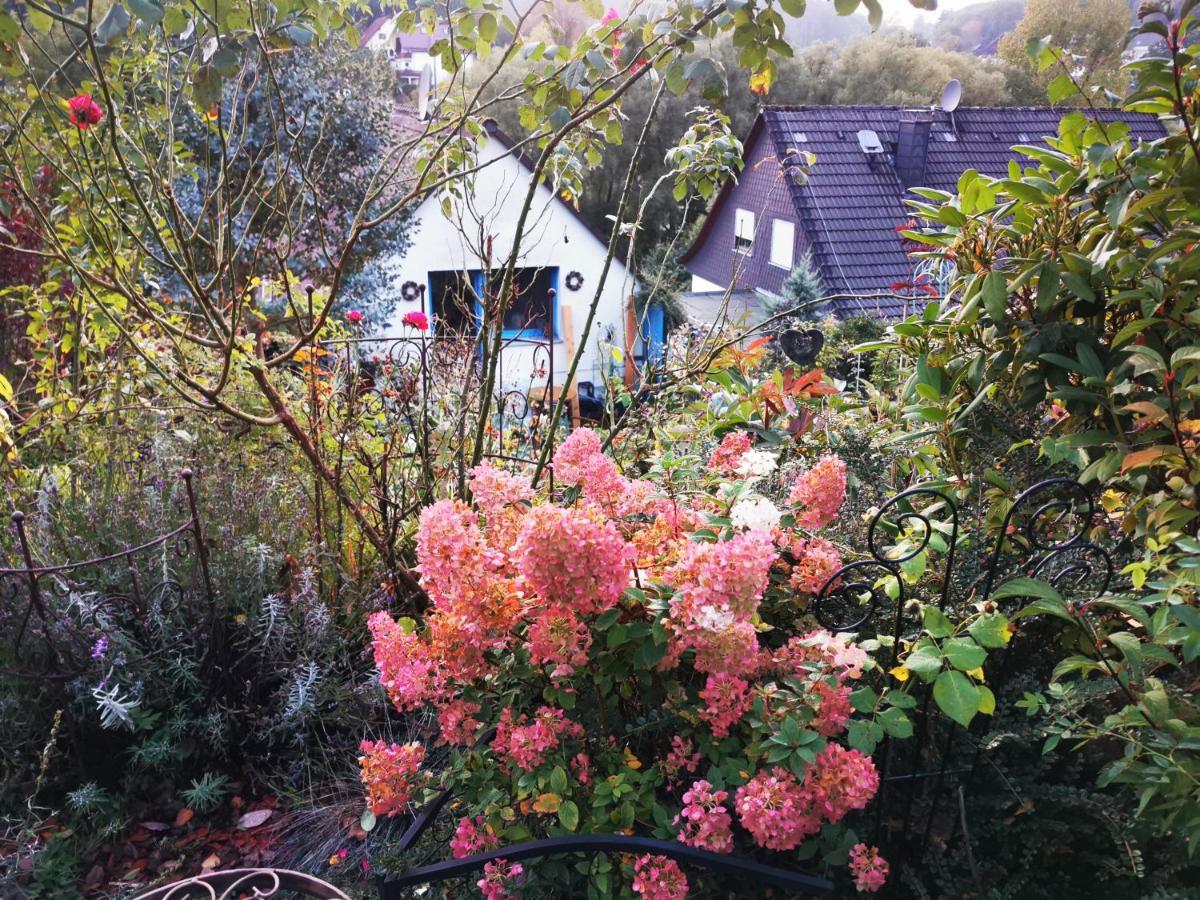 Ferienhaus Mit Riesen Garten, Drei Terrassen, Toller Aussicht Am Waldrand, Auch Als Monteur-Wohnung Hemer Luaran gambar